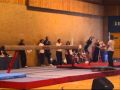 Josephine Tang Gymnastics National Final 16May2010 Wmv