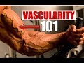How to Increase Vascularity [EVERYTHING to Know About Making Veins Show!] | Chandler Marchman
