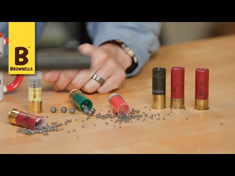 Smyth Busters: Is Birdshot Ammo Good for Home Defense?