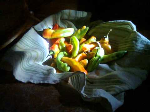 i ricordi della sera