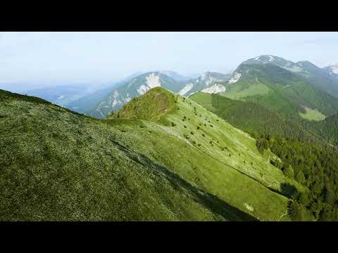 Robert Smolnikar Trio - Vremenska panorama