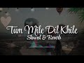 Tum mile Dil khile (Slowed+Reverb) - Sairam iyer | @AncientHealerMusic  | Kumar sanu | Slowed