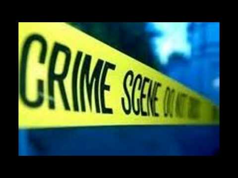 Flyer Then A Pelican by;Shawn Perigon ft.Crackalac's Cadillac Slim & DC