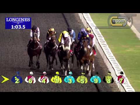 07.11.2013 Meydan (Dubai-UAE) 5.Race Emirates Airline - Handicap 2.000 m