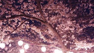 こしクリ&オリンセスのちょっと花見