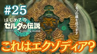 【＃２５】ようやく５人目の賢者に会える？４つの蔵を巡ってゴーレム完成を目指す～はじめてのゼルダの伝説ティアーズオブザキングダム