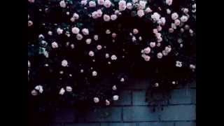 MY SILENT WAKE - Storm