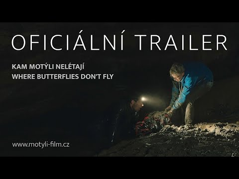 Kam motýli nelétají