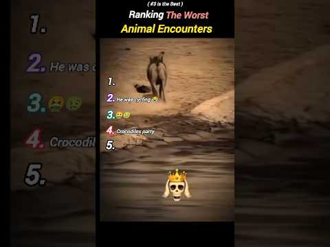 Rank worst animal Encounters #shorts