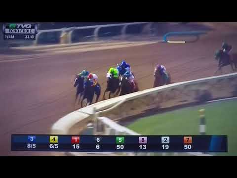 ECHO EDDIE (G 3) STAKES 4/7/18 - HECK YEAH !!
