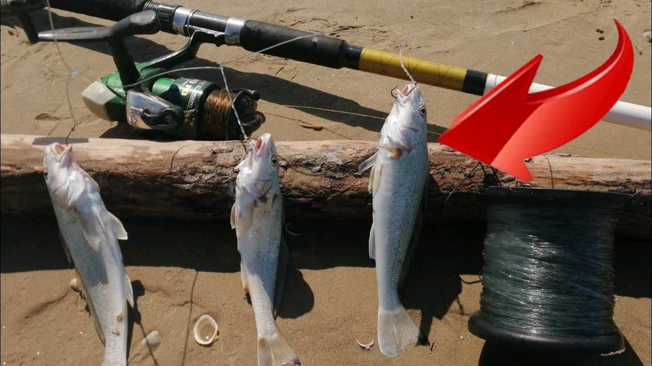 Senuelo Cangrejo Pesca