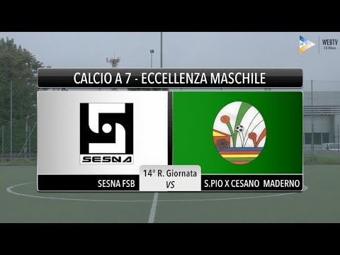 Sintesi Sesna Fsb - S-Pio X Cesano Maderno