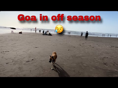Vagator beach goa in off season | Goa  2023