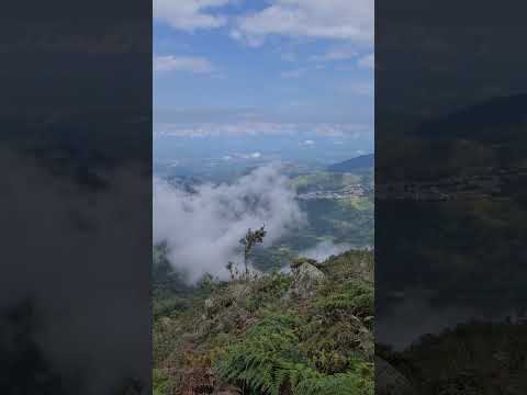 Cerro de Los Tres Pinos 🌿