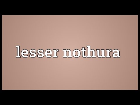 Lesser nothura Meaning