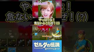 最強武器も、装備しないと意味ないからね？ #ブレワイ #ゼルダの伝説ブレスオブザワイルド #shorts