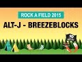 alt-J - Breezeblocks @ Rock-a-Field 2015 
