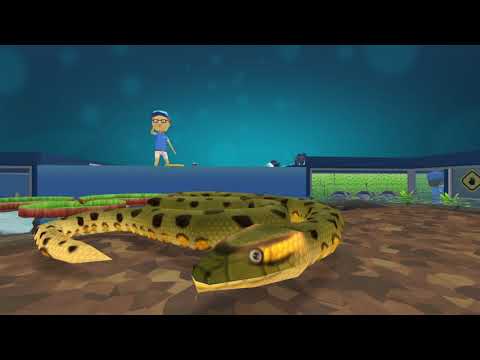 Megaquarium Tour Saltwater and Freshwater from Coral Hall to Turtletopia and More