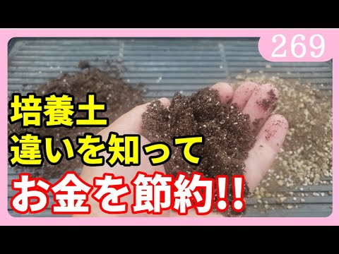 園芸 播種用の設備は何ですか?
