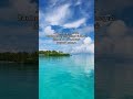 Thannai Maranthu Mannil Vilunthu ️ Ilamai Enum Poongatru Song WhatsApp Status ️Utube Bgm
