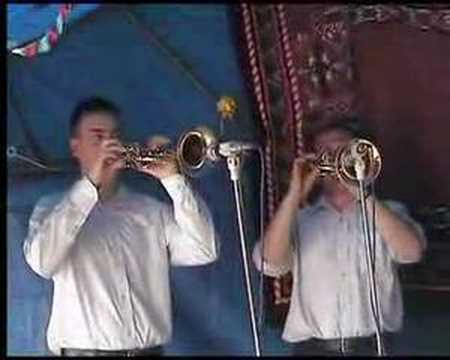 Orkestar Bojana Nikitovica iz Kosjerica