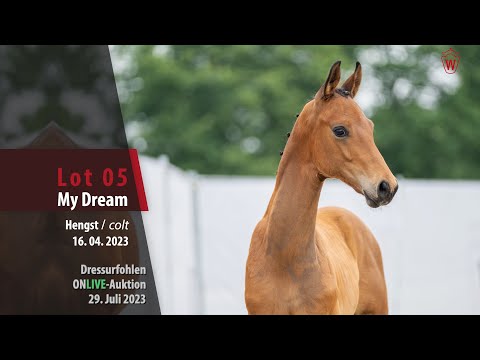 ONLIVE-AUKTION Lot 05 My Dream Hengst v. Morricone I - Foundation