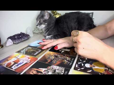 Como essa pessoa ESTÁ EM RELAÇÃO A VOCÊ hoje ✨ Tarot Revelou 🔮