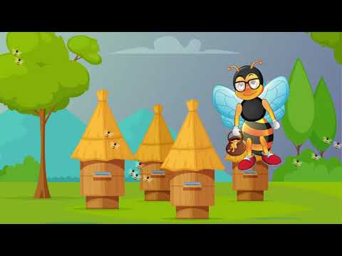 🐝Si e bën bleta🧚‍♂️ mjaltin🌺 | video edukative🎬