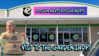 A TRIP TO THE DOLLAR TREE GARDEN SHOP! WHAT DID I BUY? Mr. Possum calls a POSSUM ALERT!