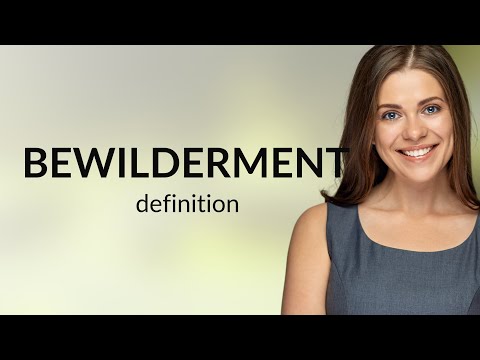 Bewilderment — meaning of BEWILDERMENT