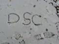 DSC Snow