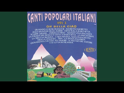 Scarpe grosse…..cervello fino