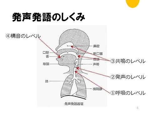 公開講座 運動障害性構音障害