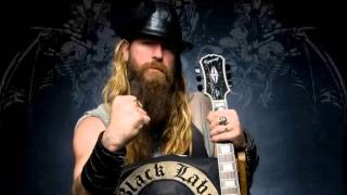 Zakk Wylde - Hell ain't a Bad Place to be