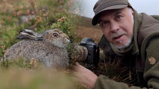 WILDLIFE PHOTOGRAPHY | Photographing Mountain Hares in the Scottish Highlands