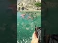 FarCry 3 Shooting Wheels Of Car In Water PC Gameplay Walkthrough RTX 2K Pc Gaming Shorts