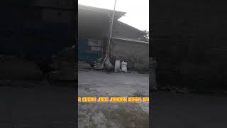 Download lagu hidup susah jangan bikin tambah susah#shorts#viralvideo #viralshort#fyp#funny#kerja#dj #hidupterbaik mp3