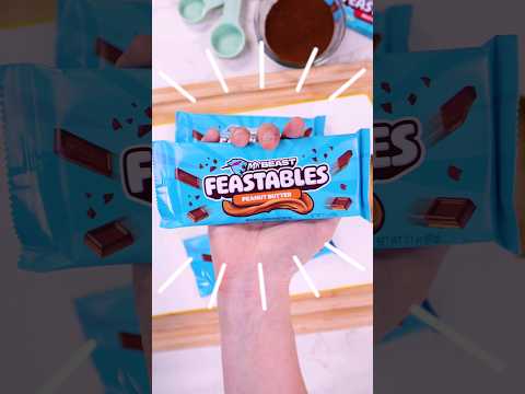 Can you Make Fudge from MrBeast's new Feastables?