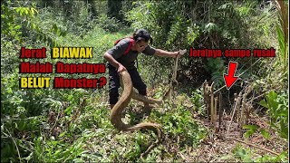 Download lagu 2 DAYS OF INSTALLING A LIZARD TRAP, IT IS SAID THAT YOU WILL GET A MONSTER EEL😅 #75 #bocahpecicilan mp3