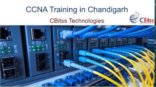 CCNA Training in Chandigarh