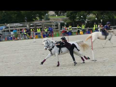 mounted games - best fails 2021/2022