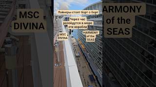 Через час разойдутся в море эти корабли MSC DIVINA and HARMONY of the SEAS #mscdivina #umarkeyn