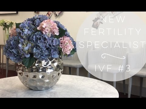 NEW FERTILITY SPECIALIST APPOINTMENT | IVF #3 Video