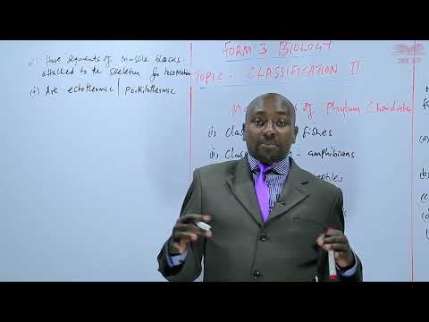 Main Classes of Phylum Chordata_L21