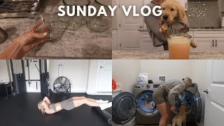 Sunday vlog 🏋️ ☕️ 🐾 🧼