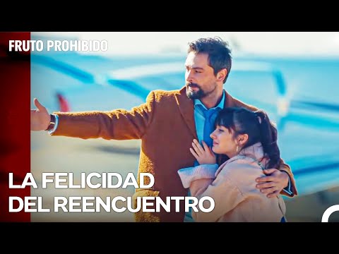 Alihan Y Zeynep Superaron Momentos Difíciles - Fruto Prohibido Capitulo 60