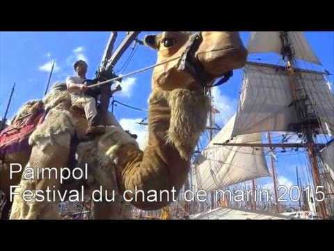 Chameau au Festival du Chant de Marin - Paimpol 2015 - Bretagne