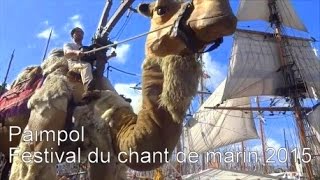 Chameau au Festival du Chant de Marin - Paimpol 2015 - Bretagne