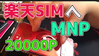 iPhone seとシュピゲンのケース＆リングも買って嬉しかった備忘録