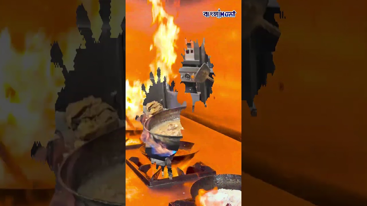 গ্যাস নয়, এবার জলে চলা ওভেনেই হবে রান্না, কোথায় কিনবেন-কত দাম?